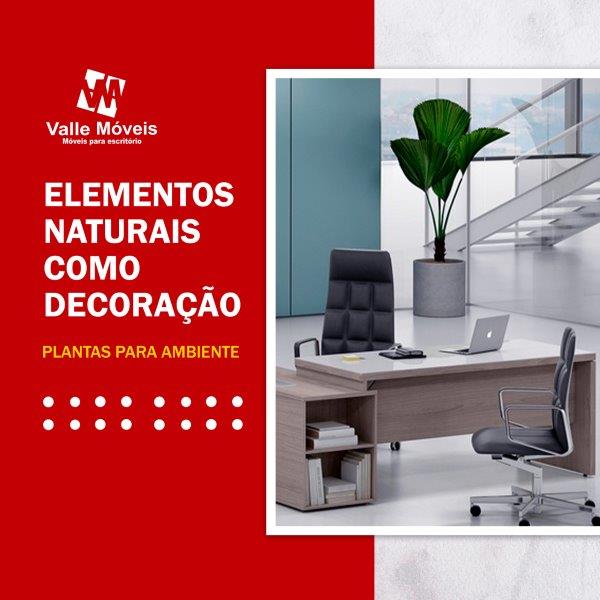 Elementos naturais como decoração